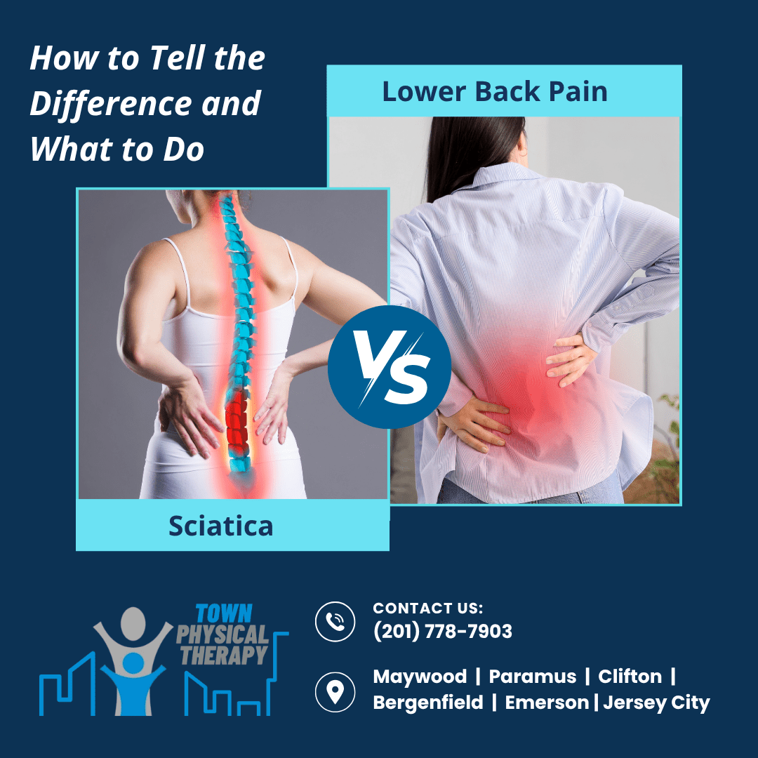 Sciatica vs. Lower Back Pain_ How to Tell the Difference and What to Do